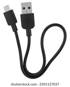 Cable micro USB