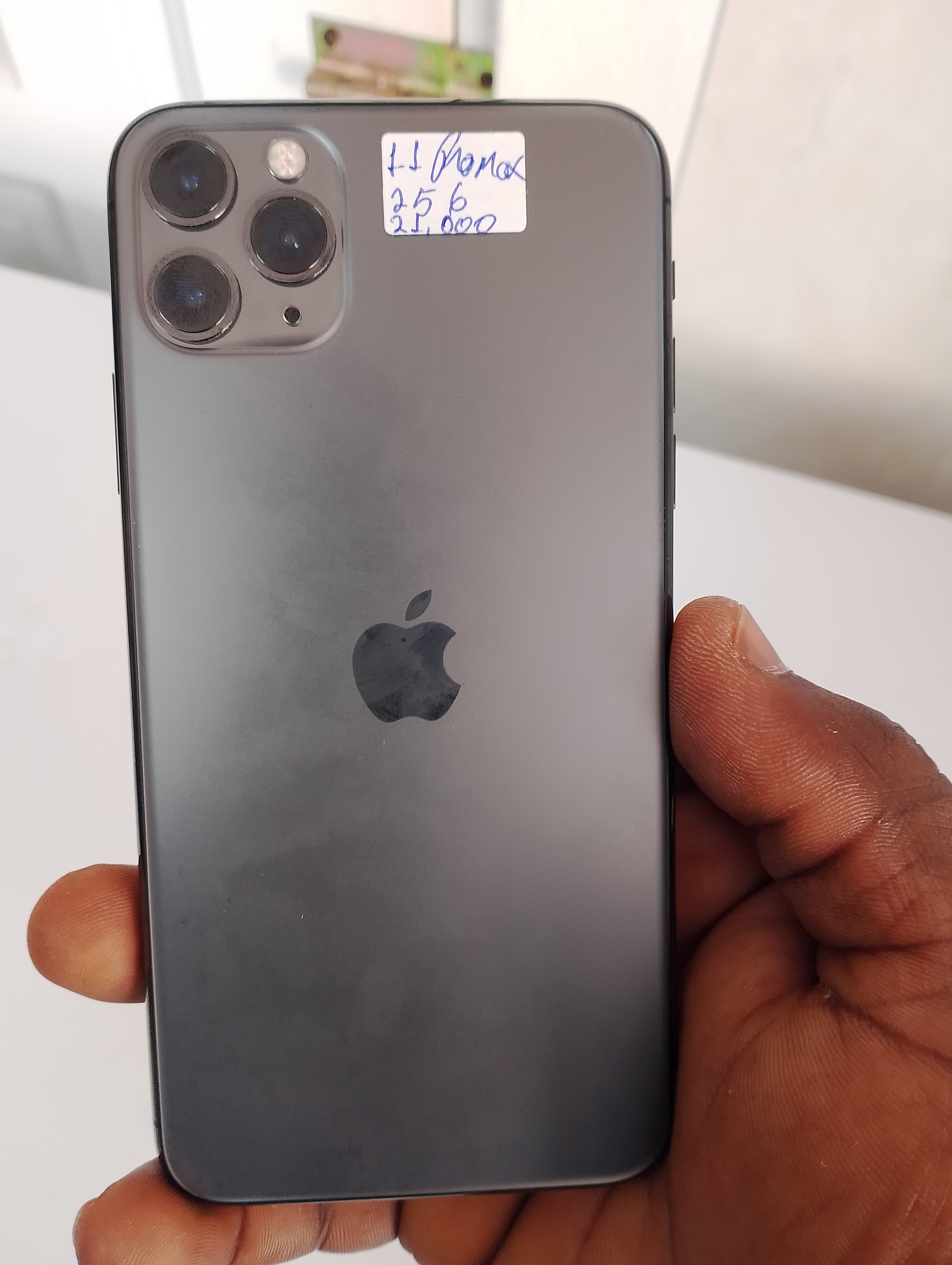 11 promax 256 GB